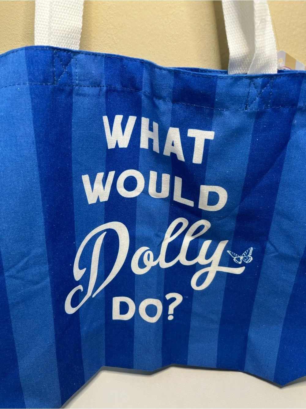 Dolly Parton What Would Dolly Do? Blue Stripe Tote Vinyl Tablecloth Pot Holders
